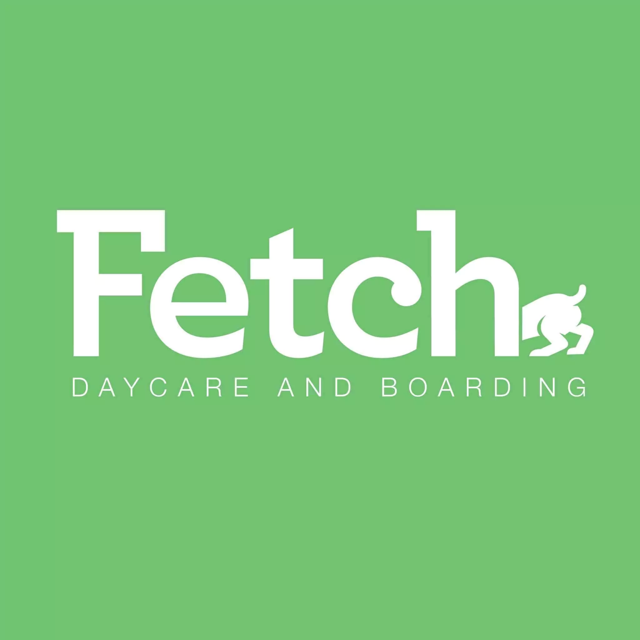 Fetch Dubai Daycare And Boarding