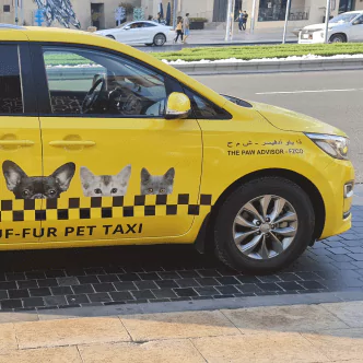 Chauf-fur's pet taxi in Dubai, UAE: Reliable, licensed and experienced pet transportation provider
