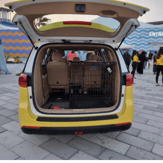 Chauf-fur's pet-friendly taxi fleet in Dubai, UAE: The perfect solution for pet owners on the move