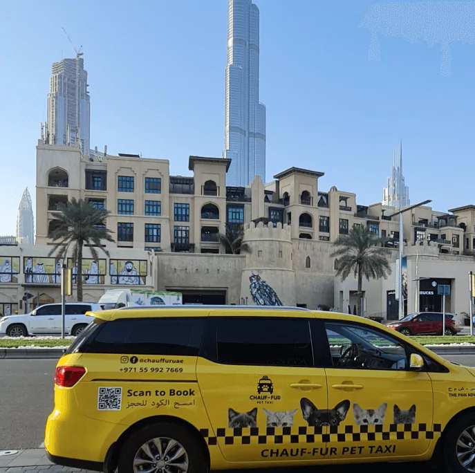 Chauf-fur Pet Taxi fleet in Dubai, UAE for safe and comfortable pet transportation